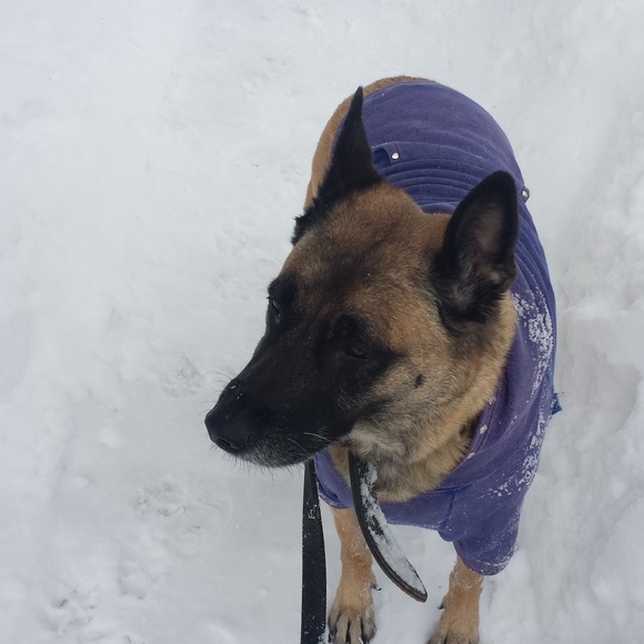 Meet your Posher, Ana - Picture 2 of 2